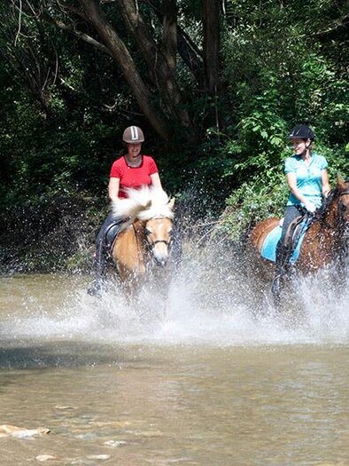 Pferdehöf Pölzler_Pferde im Wasser_Oststeiermark | © Pferdehof Pölzler