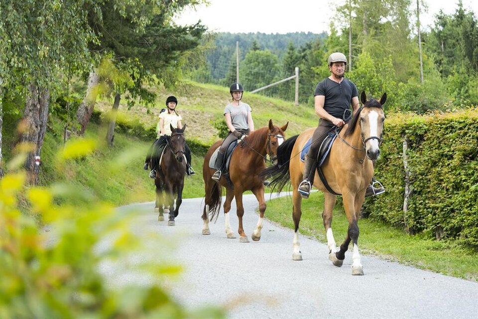 Riding in the Nature Park Pöllau Valley - Impression #1 | © Pferdeland Pöllauer Tal