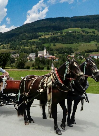 Pferdekutschenfahrt | Hans Jörg Putzenbacher | © Norikerzucht Putzenbacher