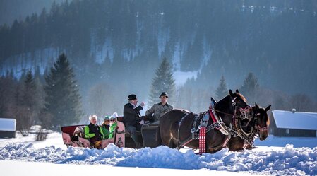 Pferdeschlitten- und Kutschenfahrten | © TVB Ausseerland Salzkammergut_Tom Lamm | TVB Ausseerland Salzkammergut_Tom Lamm | © TVB Ausseerland Salzkammergut_Tom Lamm