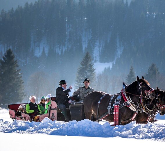 Horse-drawn sleigh and carriage rides | © TVB Ausseerland Salzkammergut_Tom Lamm | TVB Ausseerland Salzkammergut_Tom Lamm | © TVB Ausseerland Salzkammergut_Tom Lamm