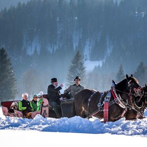Pferdeschlitten- und Kutschenfahrten | TVB Ausseerland Salzkammergut_Tom Lamm
