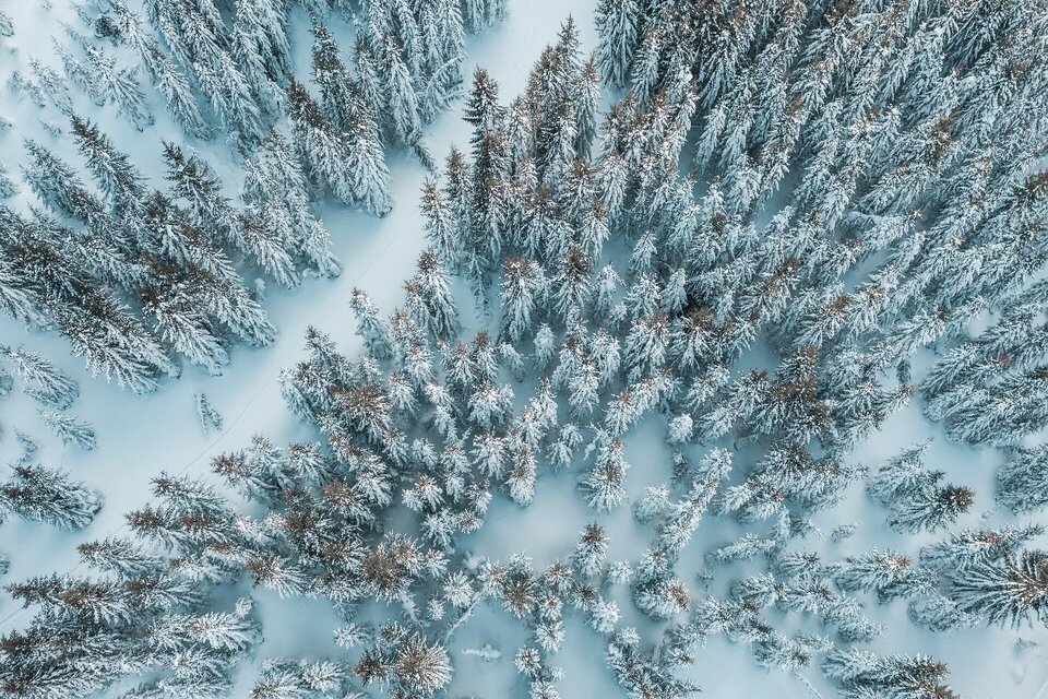 Pferdeschlittenfahrten Herrak - Impression #1