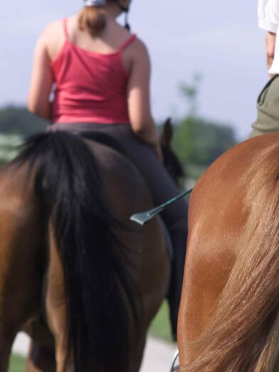 On the back of the horses | © Kurkommission Bad Blumau/A. Bruckner | A. Bruckner | © Kurkommission Bad Blumau/A. Bruckner