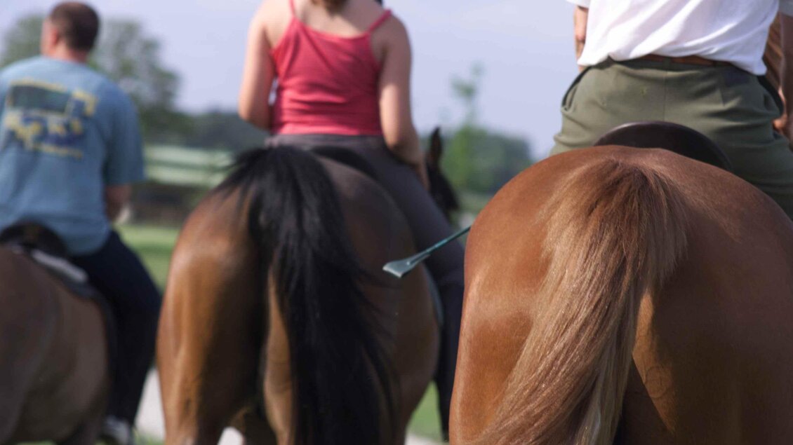 Drei Personen reiten auf Pferden in einer ländlichen Umgebung. Die Sonne scheint und es ist ein klarer Himmel. | © Kurkommission Bad Blumau/A. Bruckner