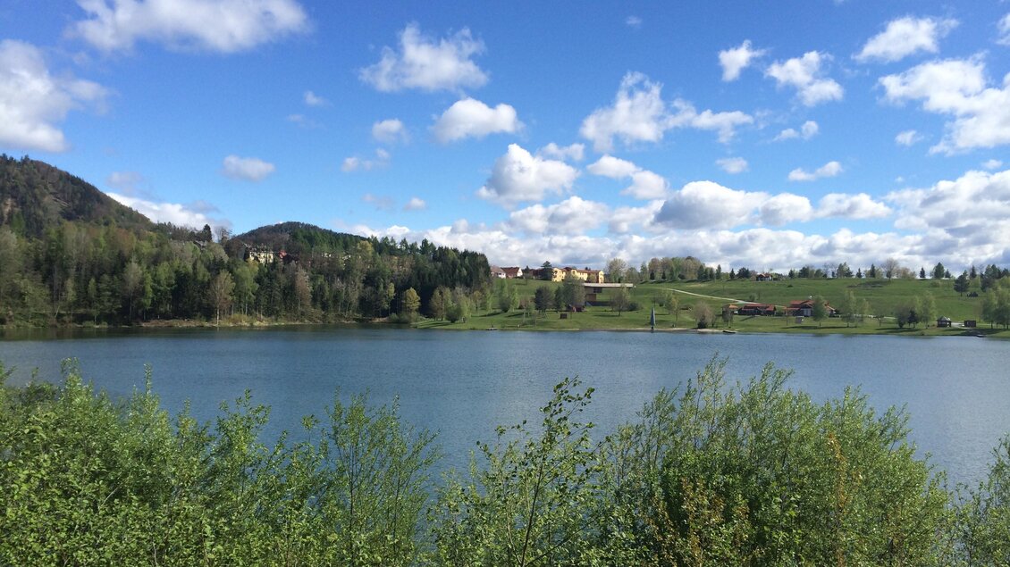 Pibersteiner See (3) | © Rene Lederer