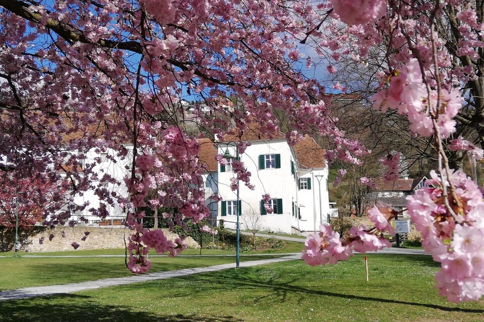 Picnic in the park of the castle Hartberg - Impression #1 | © Tourismusverband Oststeiermark