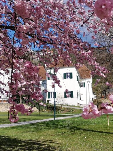 Picknickplatz_Frühling_Oststeiermark | Claudia Prokop | © Tourismusverband Oststeiermark