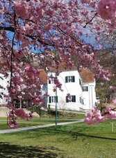 Picnic area_Spring_Eastern Styria | © Tourismusverband Oststeiermark | Claudia Prokop | © Tourismusverband Oststeiermark