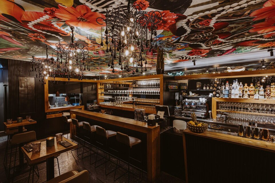 Pink Elephant - Impression #1 | © Aiola - Joel Kernasenko