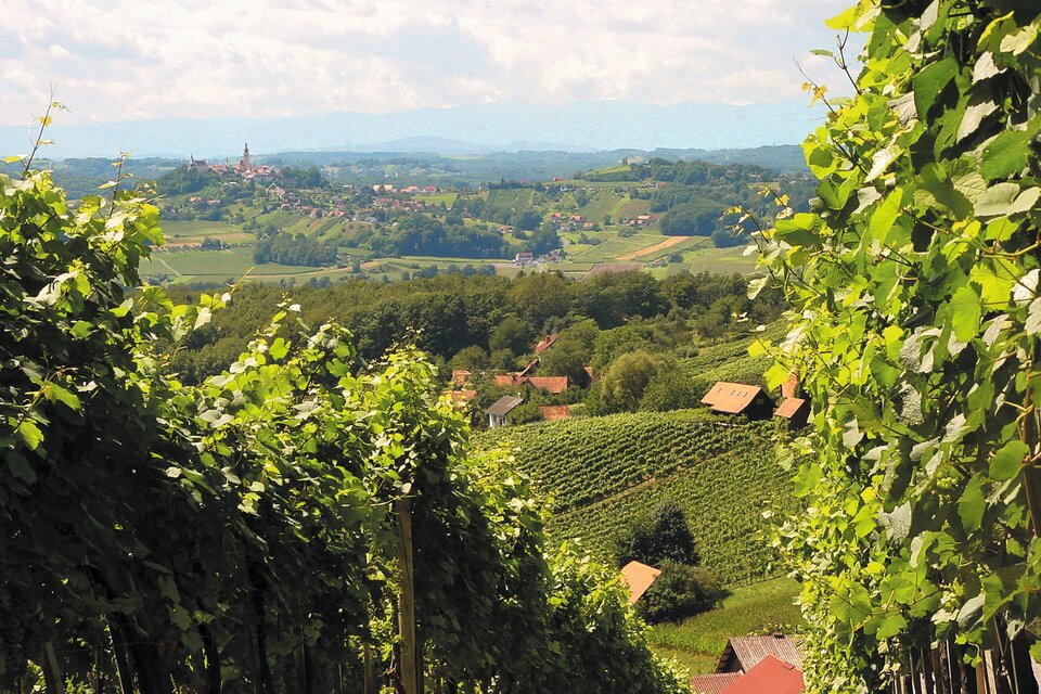 Pizzeria "Tret'n vull" in Straden - Impression #1 | © Marktgemeinde Straden