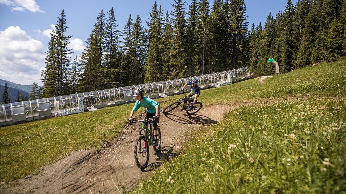 Zwei Mountainbiker fahren auf einem schmalen Pfad durch eine grüne Wiese. Im Hintergrund stehen hohe Bäume und ein klarer Himmel ist zu sehen. | © Roland Haschka