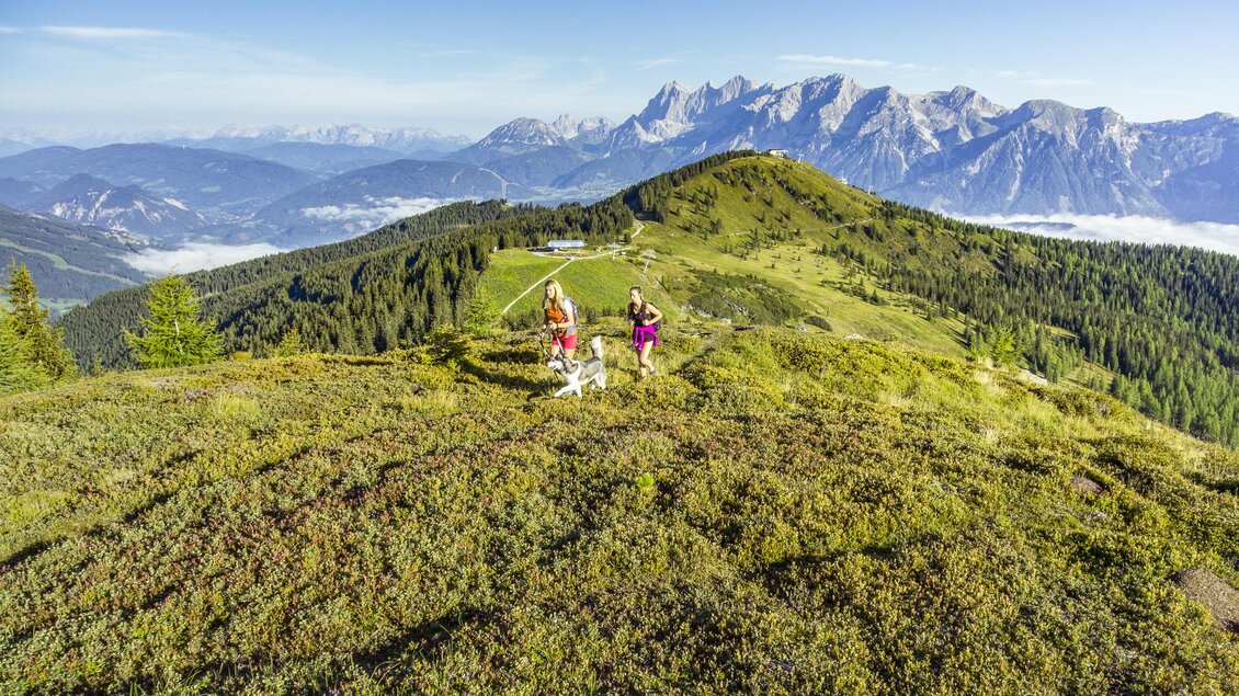 Zwei Wanderer stehen auf einem grünen Hügel mit Blick auf die Berge. Im Hintergrund erstrecken sich majestätische Gebirgszüge unter einem klaren Himmel. | © Johannes Absenger