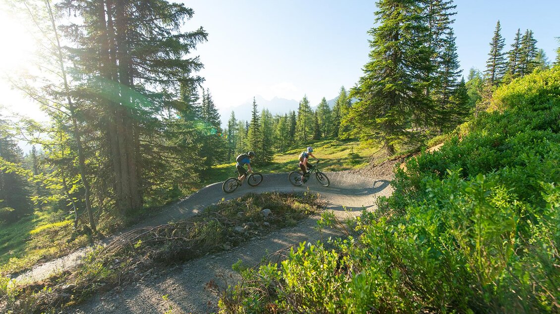 Zwei Mountainbiker fahren einen Pfad durch einen Wald mit hohen Bäumen. Die Sonne scheint und die Landschaft ist grün und einladend. | © Christoph Oberschneider