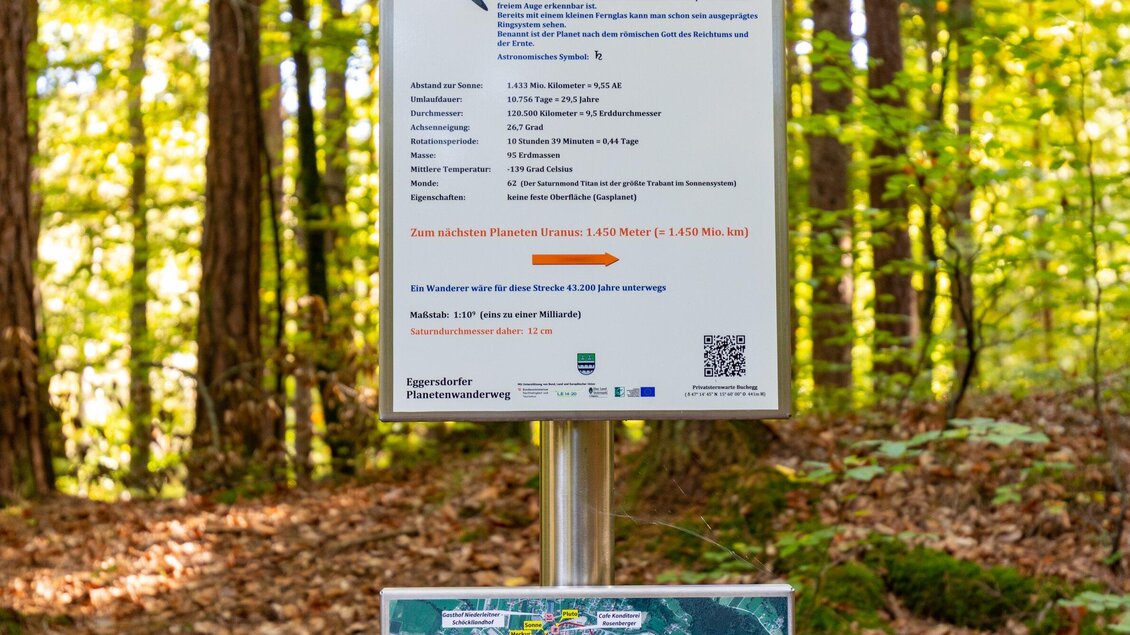 Ein Informationsschild im Wald mit Wanderwegen und wichtigen Hinweisen. Im Hintergrund sieht man grüne Bäume und Tageslicht, das durch das Blätterdach scheint. | © TV Region Graz - Harry Schiffer