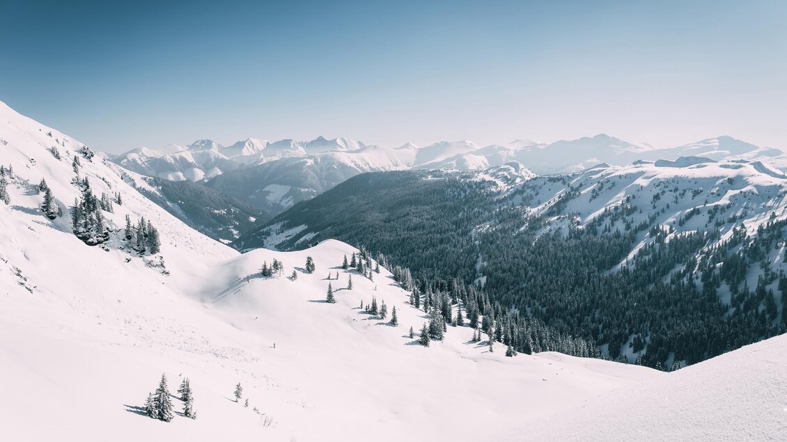 Eine beeindruckende Winterlandschaft mit schneebedeckten Bergen und klar blauem Himmel. Die sanften Hügel sind von Tannenbäumen gesäumt. | © Armin Walcher