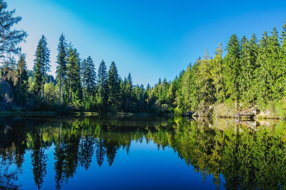 Podolerteich Pond - Impression #1 | © Tourismusverband Murau
