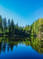 Podolerteich | © Tourismusverband Murau |  Mediadome | © Tourismusverband Murau