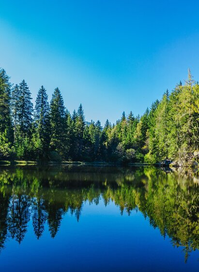 Podolerteich |  Mediadome | © Tourismusverband Murau