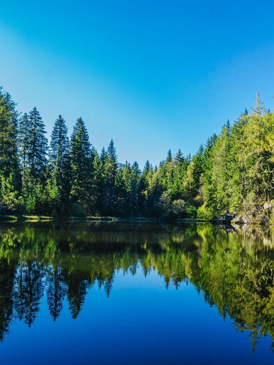 Podolerteich | © Tourismusverband Murau