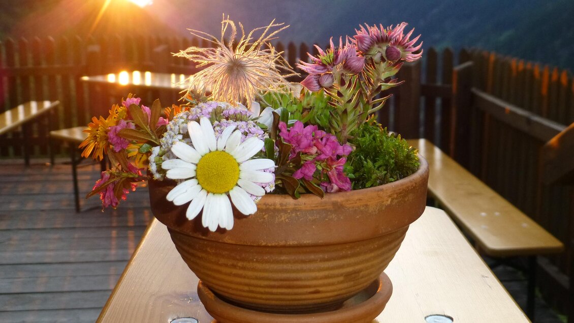Ein Blumentopf mit bunten Blumen, darunter eine Margerite, steht auf einem Tisch. Im Hintergrund leuchtet die Sonne hinter den Bergen. | © Höflehner Wolfgang