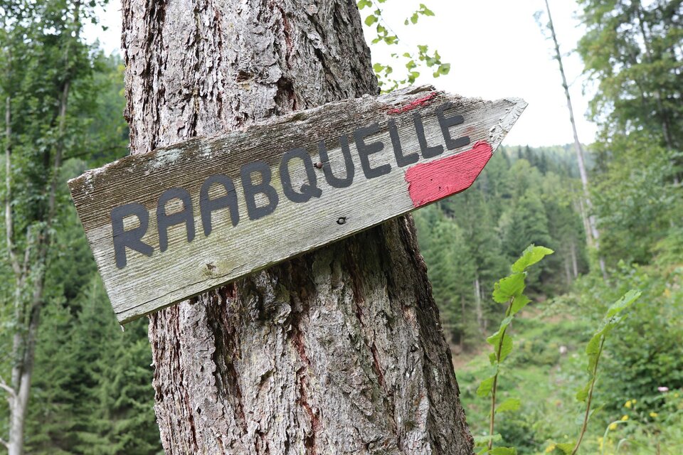 Raabursprung-round trip - Impression #1 | © WEGES