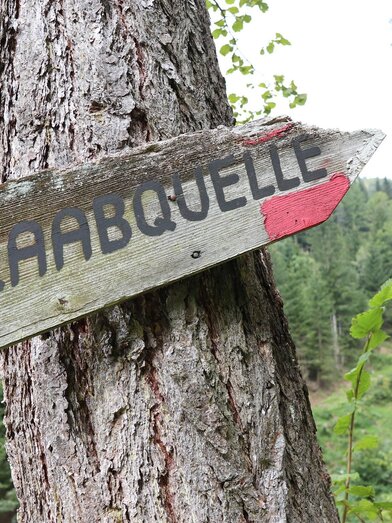 Raabursprung Wegweiser_Oststeiermark | © WEGES | © WEGES