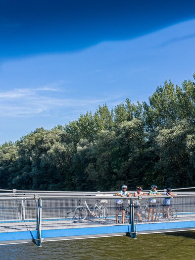 Radbrücke | © TV- Thermen- & Vulkanland