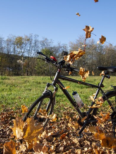 Bad Blumau thermal spa park | © Kurkommission Bad Blumau | C. Thomaser | © Kurkommission Bad Blumau