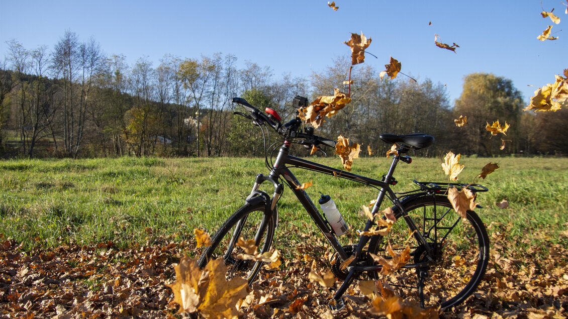 Ein Fahrrad steht in einem herbstlichen Feld, umgeben von bunten fallenden Blättern. Im Hintergrund sind Bäume und ein klarer blauer Himmel zu sehen. | © Kurkommission Bad Blumau