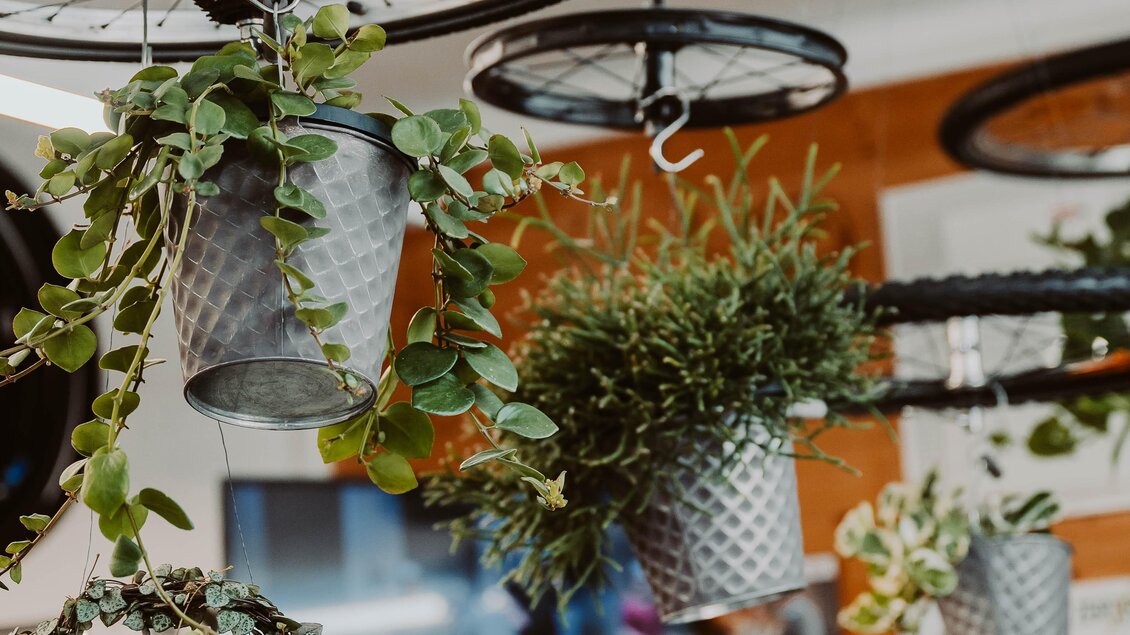 Radwerkstatt-Innenbereich3-Murtal-Steiermark | © Radwerkstatt Willibald