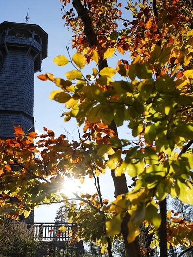 Ein Aussichtsturm umgeben von bunten Herbstblättern. Die Sonne scheint durch die Blätter, was eine warme Atmosphäre schafft. | © Oststeiermark Tourismus