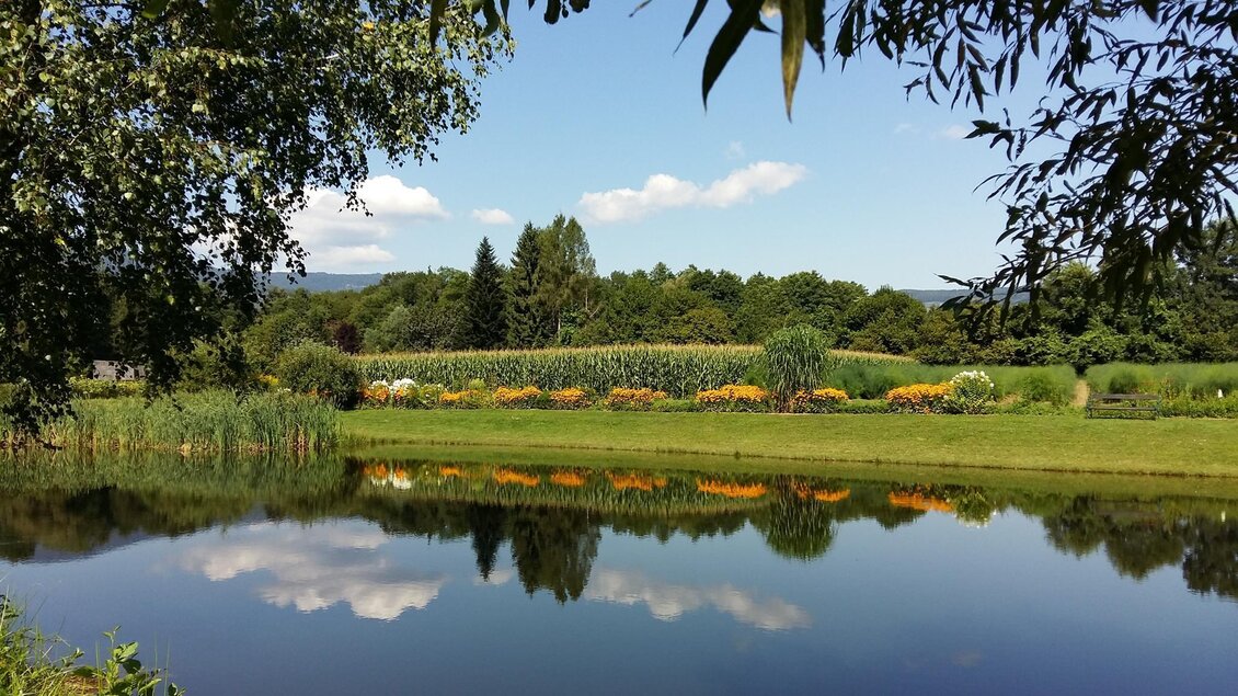 Ein ruhiger Teich mit spiegelndem Wasser und grünem Ufer. Im Hintergrund sind blühende Blumen und Bäume zu sehen, unter einem blauen Himmel mit vereinzelten Wolken. | © Rauch-Hof