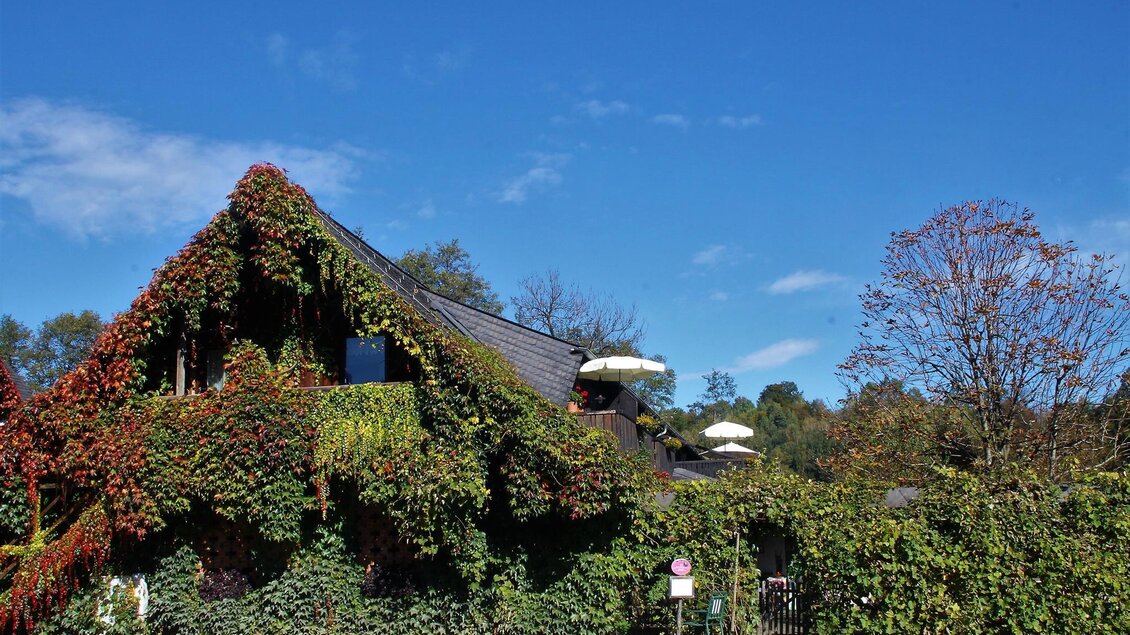 Ein charmantes Haus, das mit üppigem Grün und buntem Laub bedeckt ist. Der klare blaue Himmel vervollständigt die idyllische Szenerie. | © Rauch-Hof