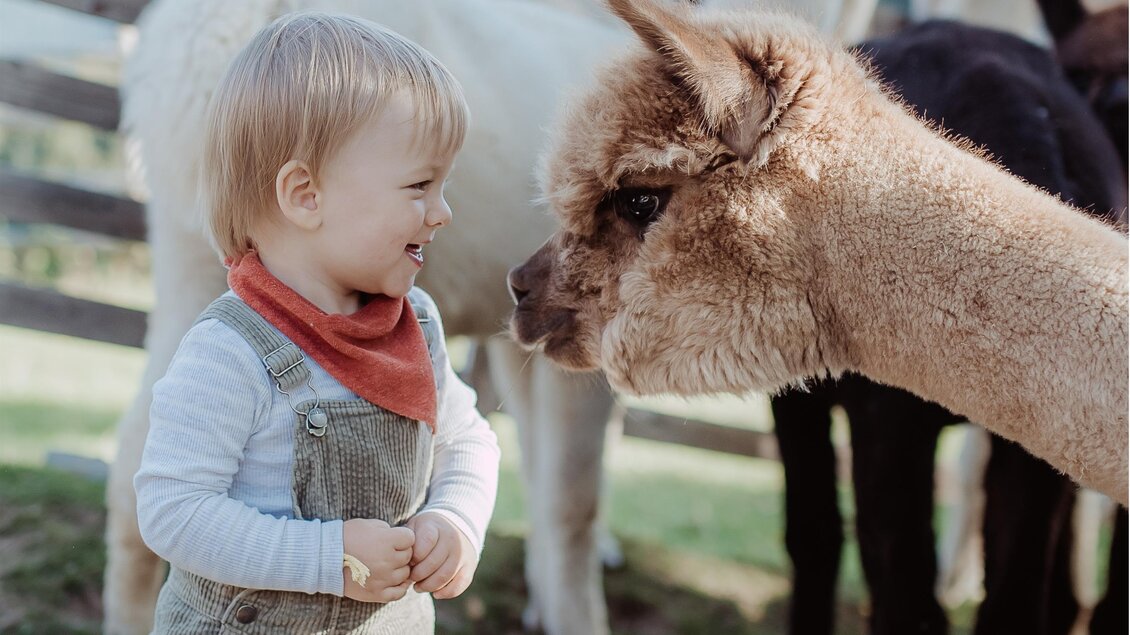 Reich Quellengut_Kind mit Alpaka_Oststeiermark | © Hadas Natural Photography