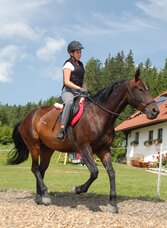 Reitbauernhof Steinerhof | © Reitbauernhof am Steinerhof | Georg Leitner | © Reitbauernhof am Steinerhof