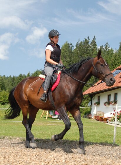 Reitbauernhof Steinerhof | Georg Leitner | © Reitbauernhof am Steinerhof