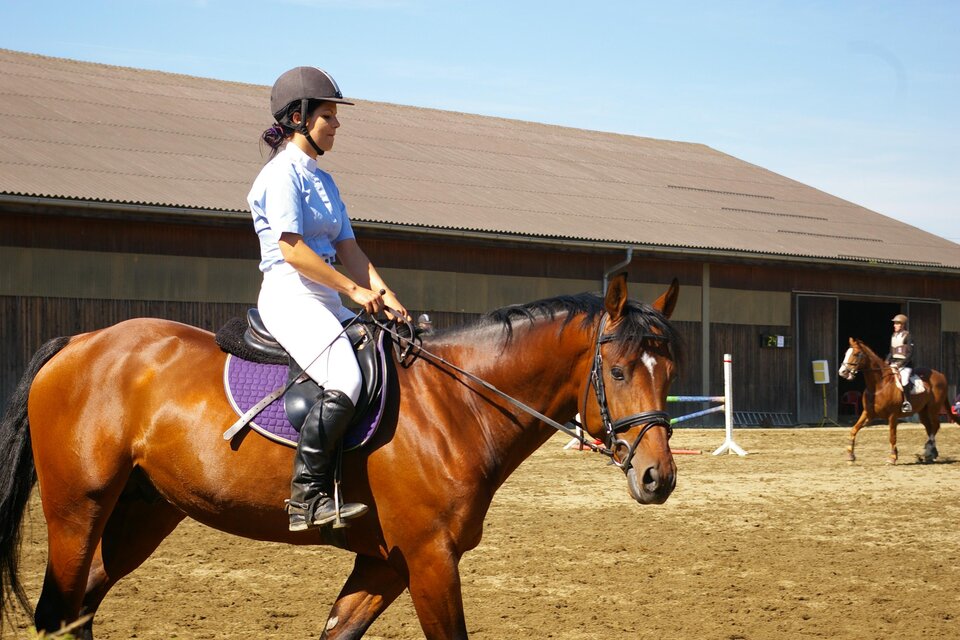 Riding Club Sachendorf - Impression #1 | © RC Sachendorf