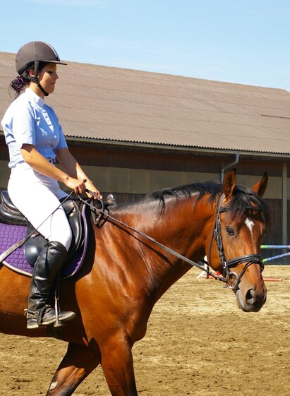 RCSachendorf-Reitunterricht-Murtal-Steiermark | RC Sachendorf | © RC Sachendorf