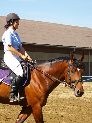 RCSachendorf-Reitunterricht-Murtal-Steiermark | © RC Sachendorf