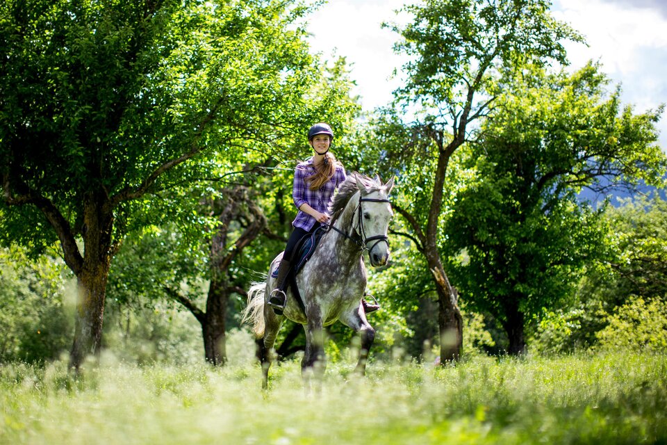 Riding at the Moar organic farm - Impression #1 | © Tourismusverband Murau