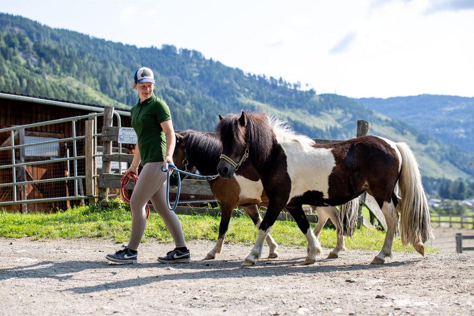 Riding at the Olachgut - Impression #1 | © Tourismusverband Murau