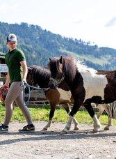 Reiten am Olachgut | © Tourismusverband Murau | Tom Lamm | © Tourismusverband Murau