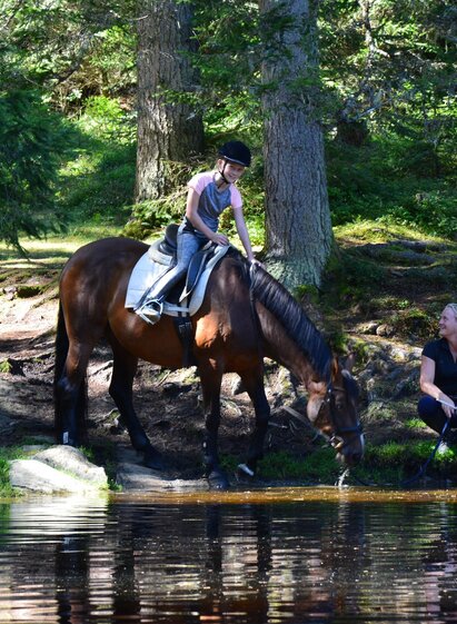 Schilcherhof | Tom Lamm | © Tourismusverband Murau