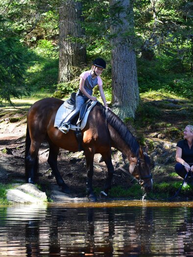 Schilcherhof | © Tourismusverband Murau