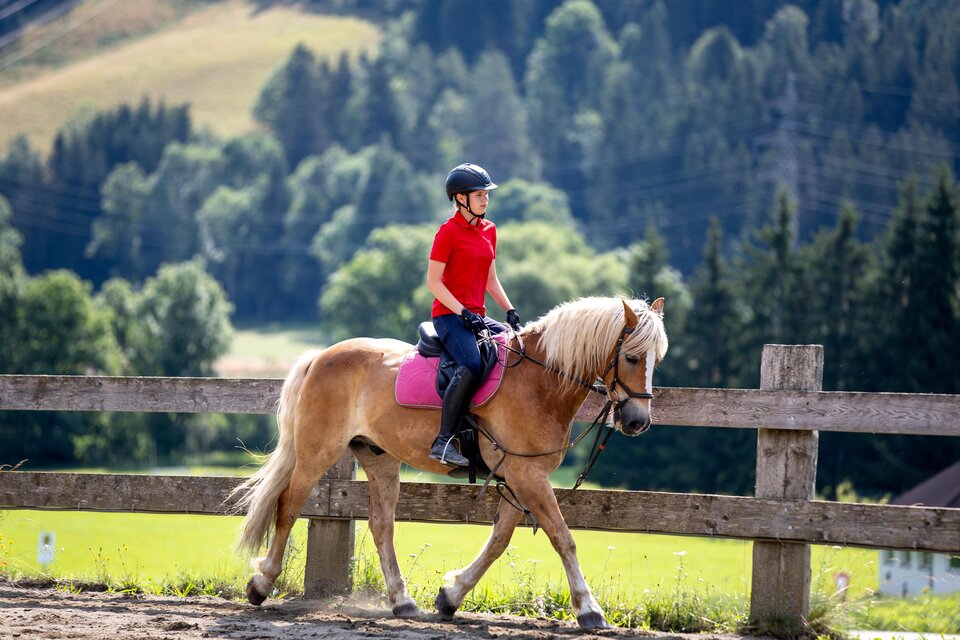 Riding at the Zechnerhof - Impression #1 | © Tourismusverband Murau