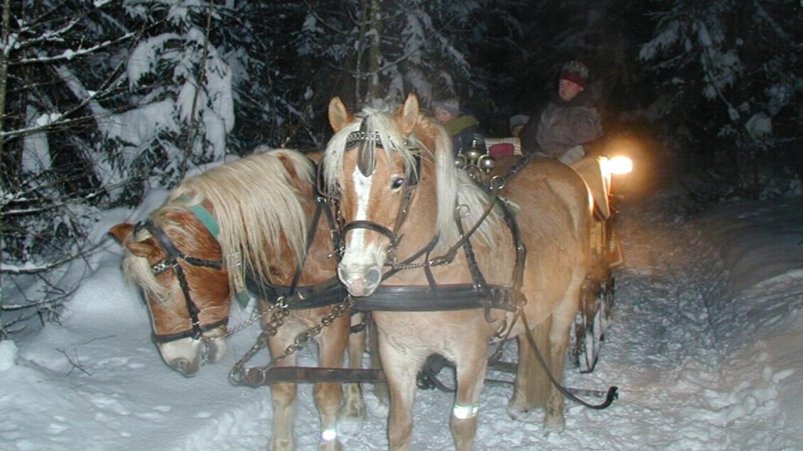 Zwei Pferde ziehen eine Schlittenfahrt durch einen verschneiten Wald in der Nacht. Die Umgebung ist ruhig und winterlich, mit schneebedeckten Bäumen. | © Reiterhof Aigner