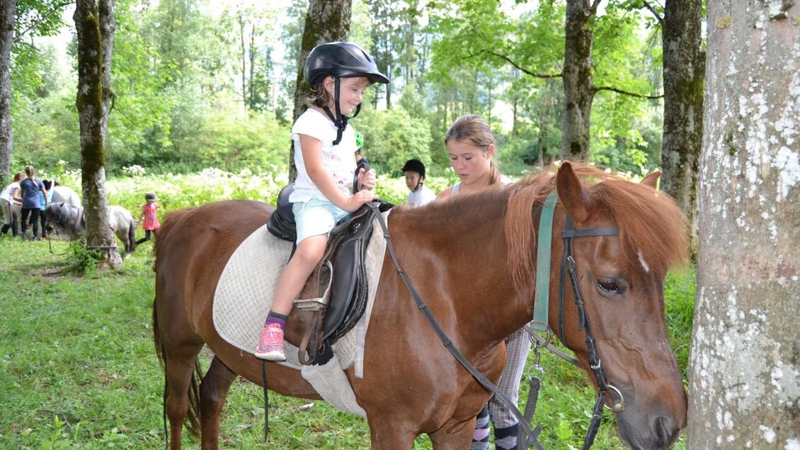 Ein Kind sitzt auf einem Pferd in einem grünen Wald. Im Hintergrund sind weitere Pferde und Menschen zu sehen.