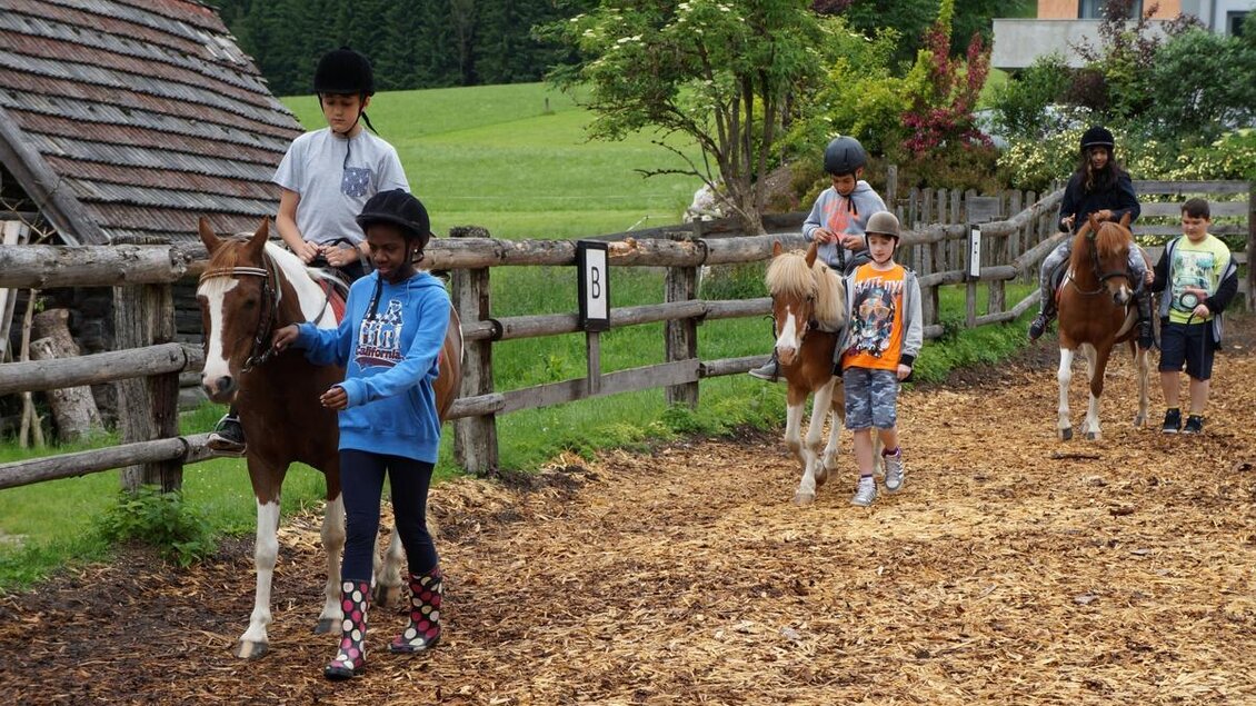 Eine Gruppe von Kindern reitet auf Ponys auf einem gepflasterten Weg. Im Hintergrund sind Bäume und ein Holzgebäude zu sehen.
