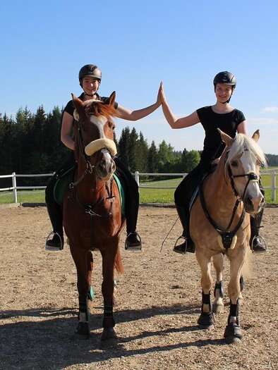 horse farm "the Leitner"_riding_Eastern Styria | © Narnhoferwirt